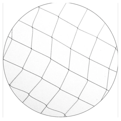 Diane Invisible Mesh Hair Net 3PK